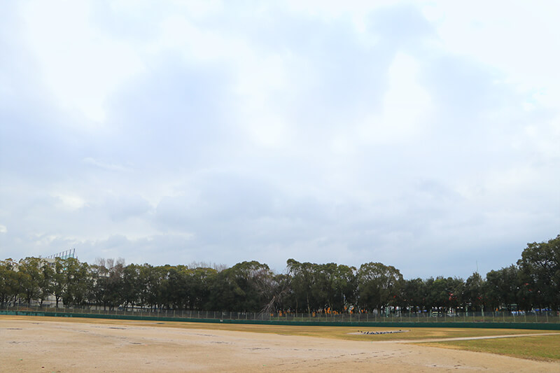 野球場と曇り空